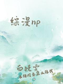 综漫np