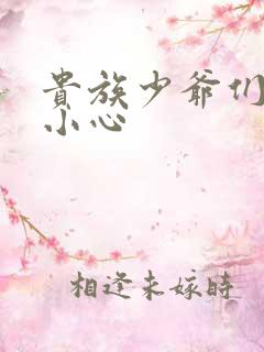 贵族少爷们 请小心