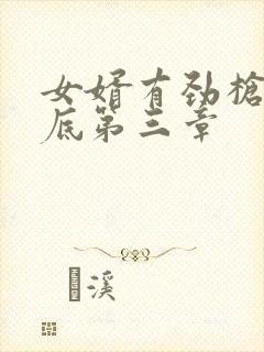 女婿有劲枪枪到底第三章