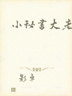 小秘书大老婆