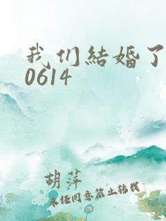 我们结婚了130614