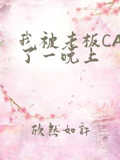 我被老板CAO了一晚上