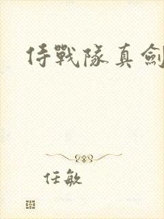 侍战队真剑者2