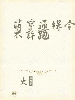 萌宝通缉令妈味不许跑