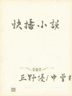 快播小说