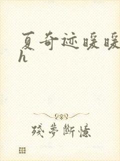 夏奇迹暖暖快穿h