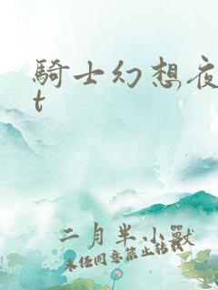 骑士幻想夜txt