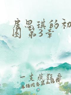 房思琪的初恋乐园 第3章