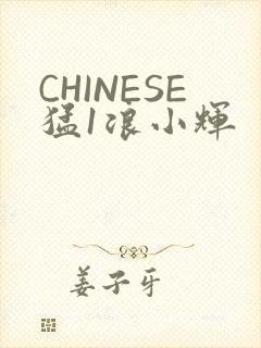 CHINESE猛1浪小辉