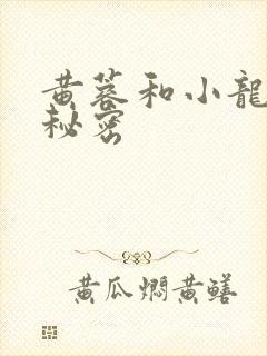 黄蓉和小龙女的秘密