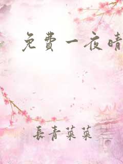 免费一夜晴交友