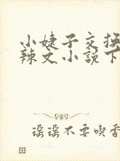 小婕子交换系列辣文小说下载