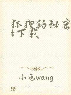 狐狸的秘密txt下载