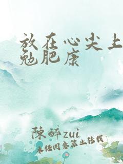 放在心尖上七猫勉肥康