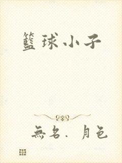 篮球小子