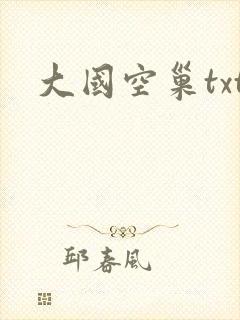大国空巢txt