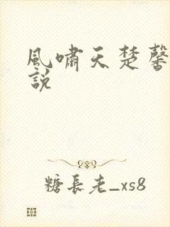 风啸天楚馨月小说