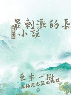 最刺激的长篇乱惀小说