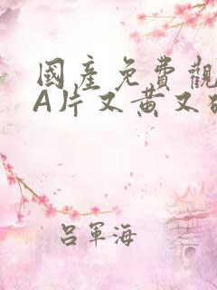 国产免费观看黄A片又黄又硬小说