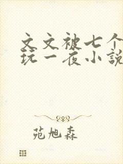 文文被七个男人玩一夜小说