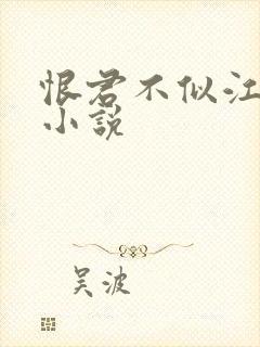 恨君不似江楼月小说