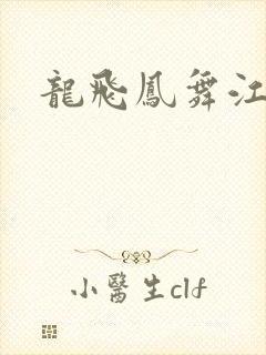 龙飞凤舞江一龙