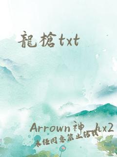 龙枪txt