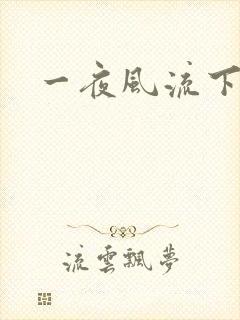 一夜风流下载