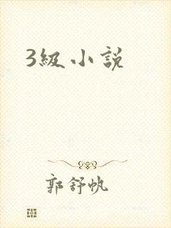 3级小说