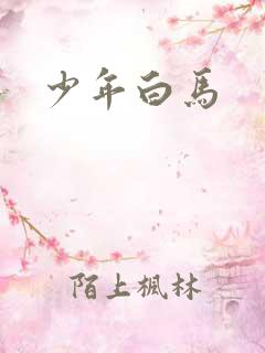 少年白马