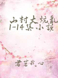 山村大炕乱肉续1-14集小说