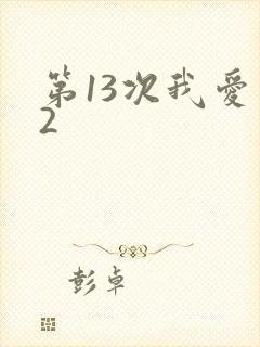第13次我爱你2