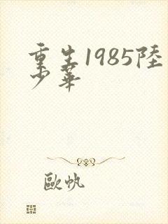 重生1985陆少华