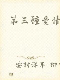 第三种爱情番外
