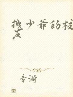 拽少爷的校花女友