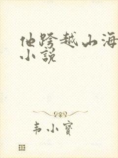 他跨越山海而来小说