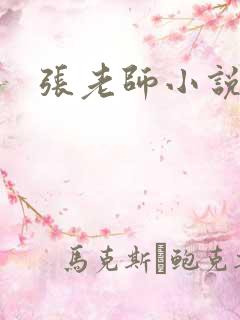 张老师小说