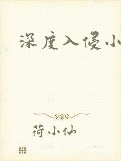 深度入侵小说