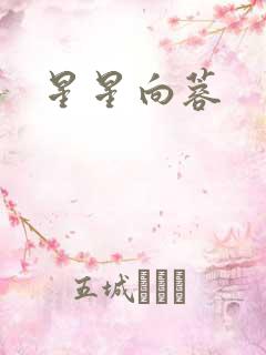 星星向蓉