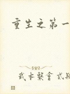 重生之第一名媛