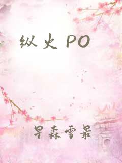 纵火 PO