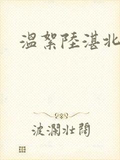温絮陆湛北