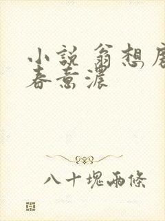 小说 翁想房中春意浓