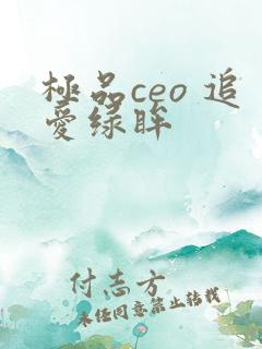 极品ceo 追爱绿眸