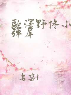 欧泽野佟小曼无弹屏