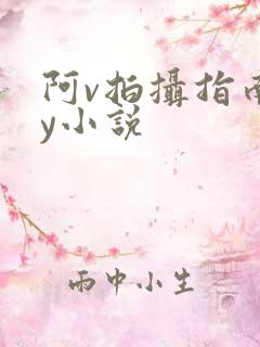 阿v拍摄指南by小说