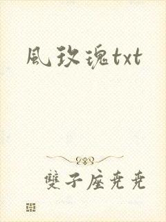 风玫瑰txt