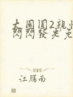 大团圆2亲情会闪闪发光免费