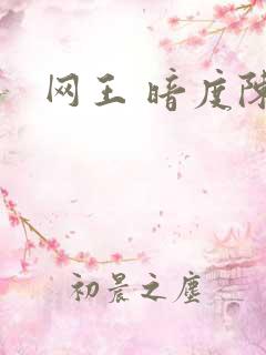 网王 暗度陈仓