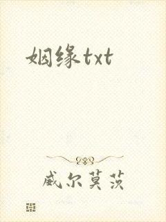 姻缘txt